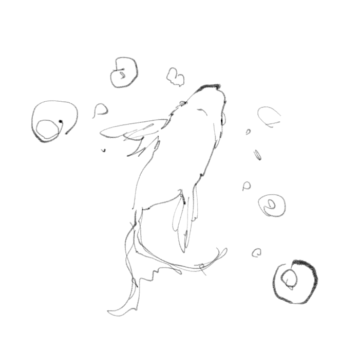 水槽の金魚